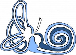 Blau-weiße Schnecke neben einer stilisierten Blume mit geschwungenen Blütenblättern und spiraligem Schneckenhaus